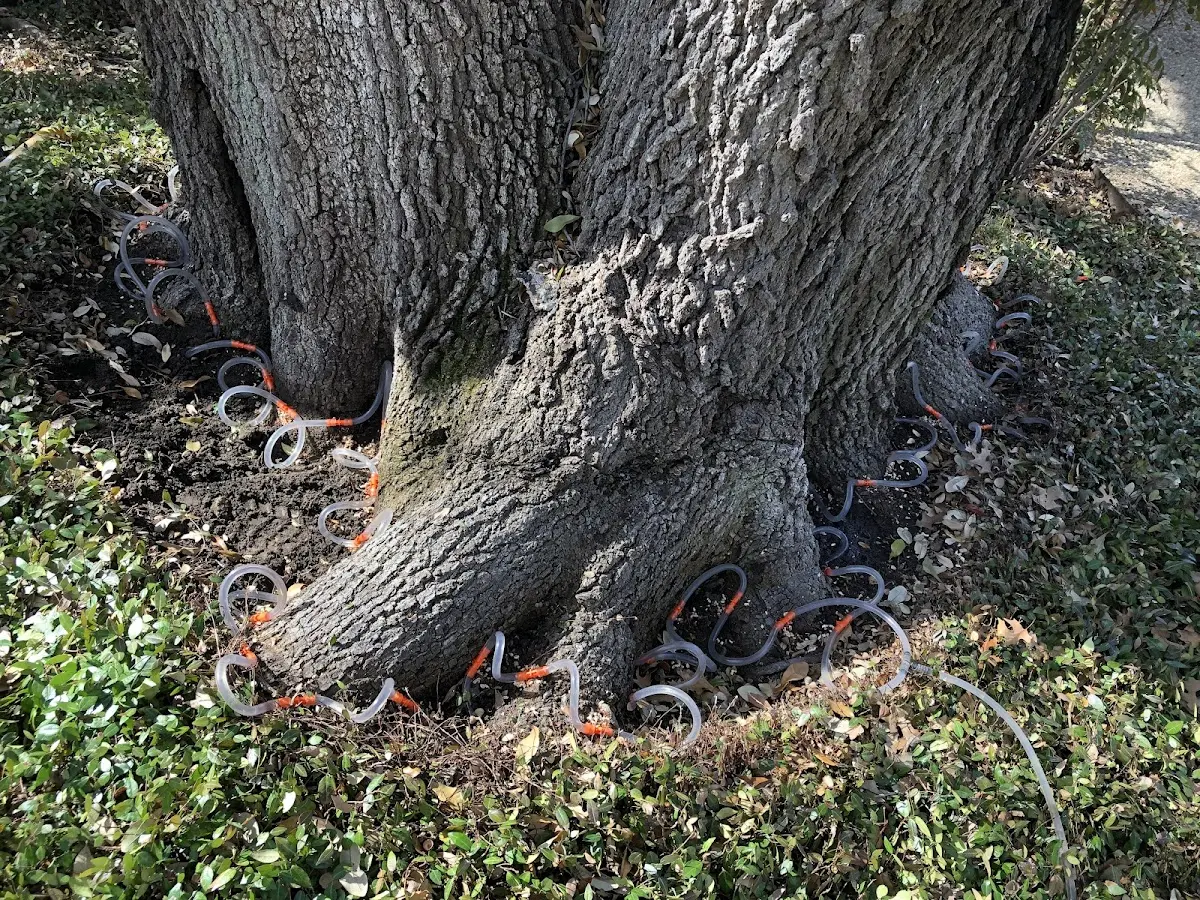 Detailed Shrub and Hedge Trimming job site in Pekin