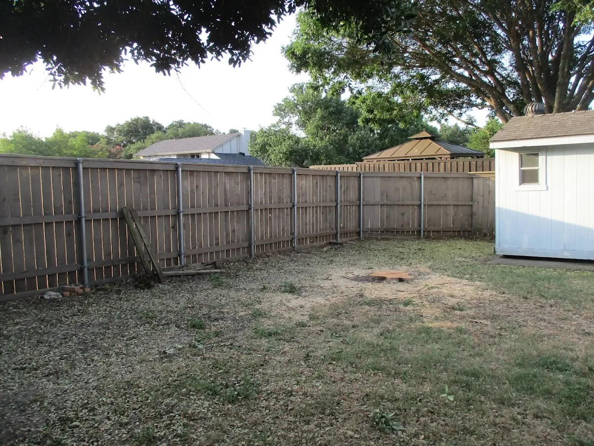 Cleared yard after professional tree removal in Pekin